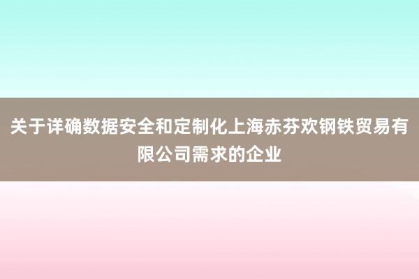 关于详确数据安全和定制化上海赤芬欢钢铁贸易有限公司需求的企业